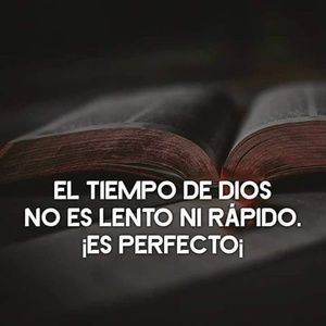 Meet your Posher, Josie